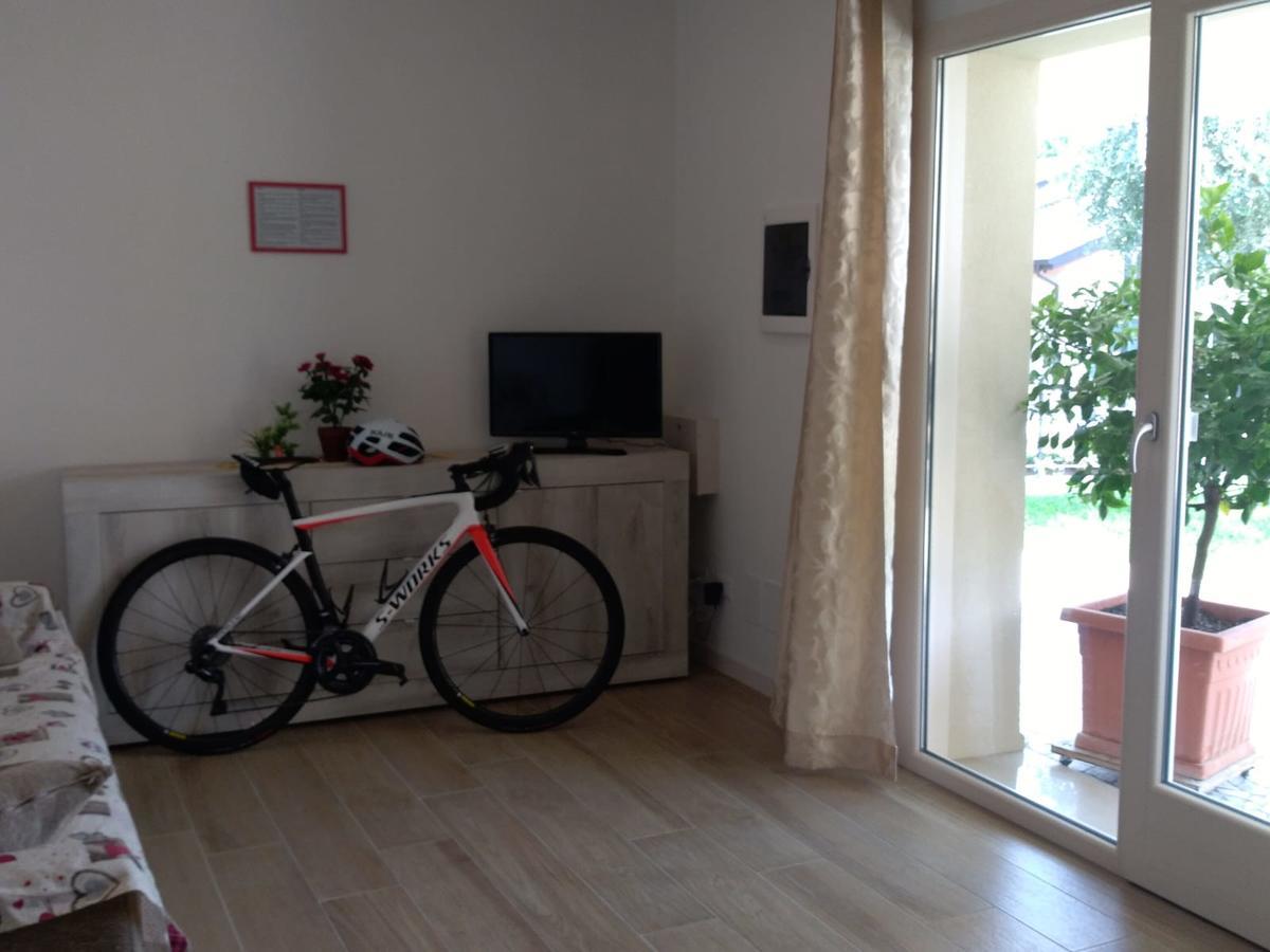 Apartment Conte Борсо дел Грапа Екстериор снимка